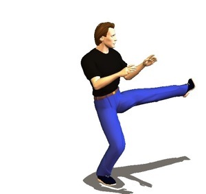 karate kicking technique