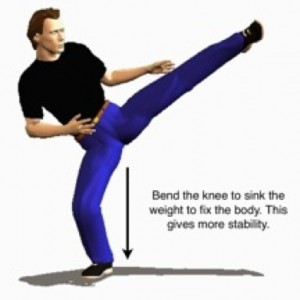 how to do do karate kicks